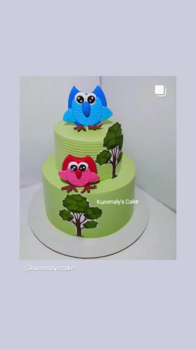 Two tier birthday cake